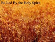 Jesus said if we keep His commandments He would pray to the Father to send the Holy Spirit to abide with us. The Spirit serves many roles for us in the gospel covenant.