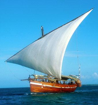 B. Economic and Cultural Comparisons Ships in the Arabian Sea to the west of India were dhows. Ships to the east traveling to Southeast Asia were the larger junks.
