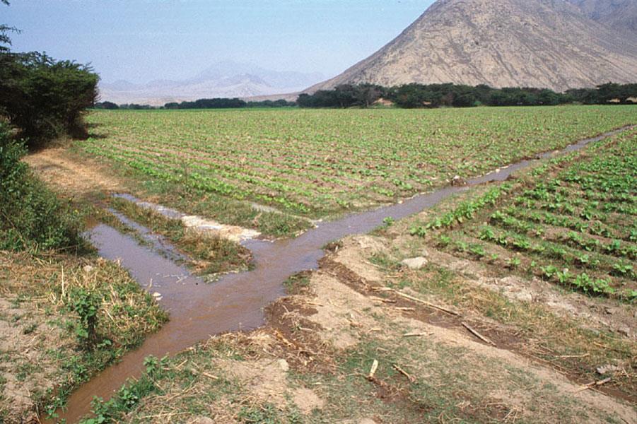In India, Cambodia, and Sri Lanka, governments mobilized vast resources to construct and maintain large irrigation and water control projects.