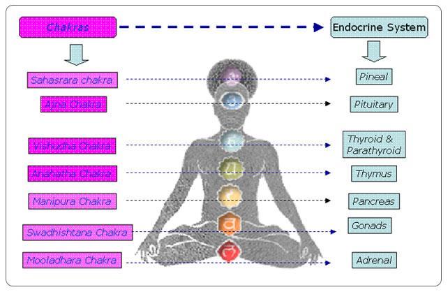 The seven major Chakras, located in the inner aura are capable of breathing.