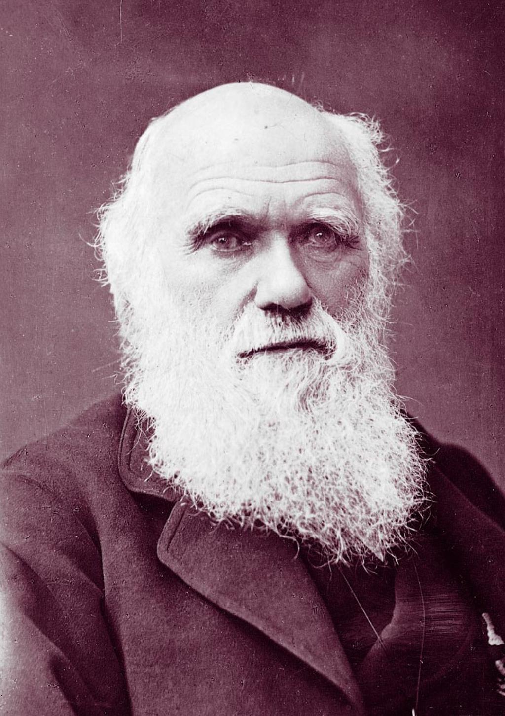 Once described as "the single best idea anyone has ever had," English naturalist Charles Darwin's "Theory of Evolution" proposes that all life, including humans, is related and is descended from a