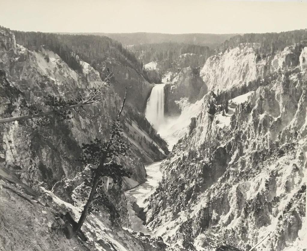 3- Haynes, Jack Ellis. 28328. Grand Canyon, Artist Pt., Yellowstone. Yellowstone Park, WY: Haynes, [1928]. Large silver gelatin photograph [39 cm x 49.5 cm] on a white heavy stock [40 cm x 50.