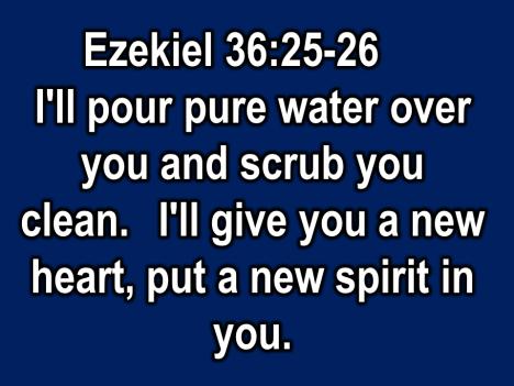 In Ezekiel we read this: I ll pour water over you and scrub you clean. I ll give you a new heart. I ll put a new spirit within you.