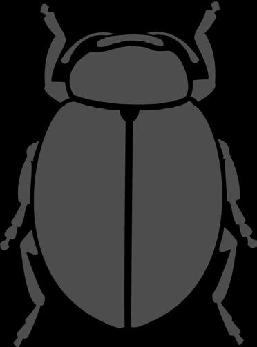 species of insects representing at least six different orders.