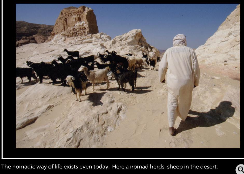 Nomadic herders 2 used the oases Traded with oasis-based groups Only farmland 3 centered around oases.