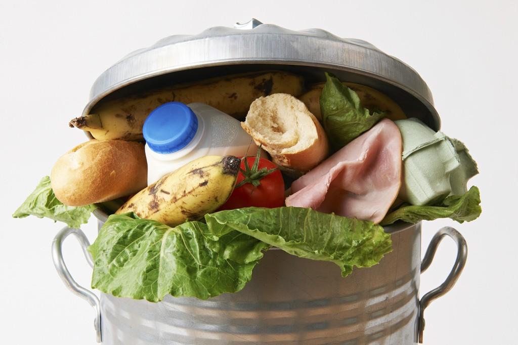 Reducing Food Waste We are called to love and serve each other, and to care for all of God s creation.