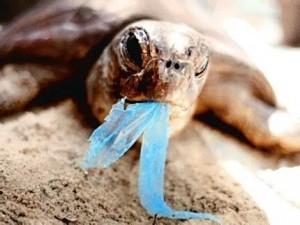 200,000 plastic bags will be dumped in landfills Every hour! Each year, an estimated 500 billion to 1 trillion plastic bags are consumed worldwide. That comes out to over one million per minute.