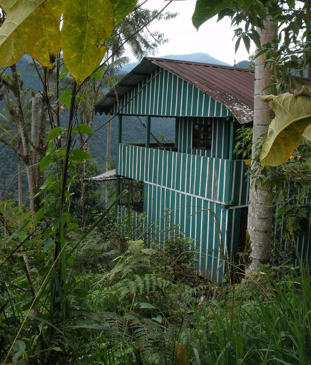 Join us as we build a cabin for Word of Life Ecuador at their Camp Property near Quito, Ecuador.