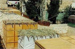 Origin and ancient observance Sukkot was agricultural in origin.