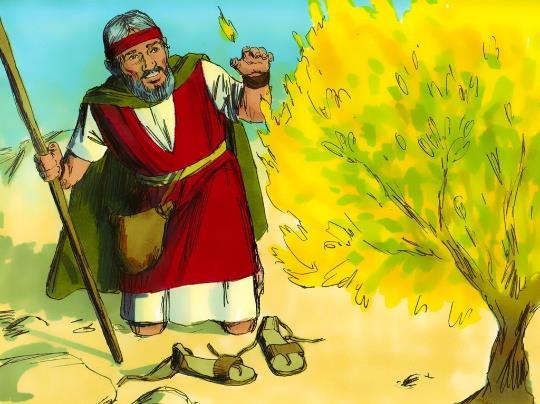 LESSON 17: Moses at the Burning Bush Exo 2v15,20,21; 3; 4v1-8 17-1 What work did Moses do while he lived in Midian? Moses was a shepherd.