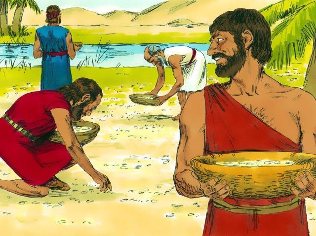 Lesson 22: God Gives Food to His People in the Wilderness Exodus 15v22-27;16 22-1 What did Moses have to do to make the bitter waters of Marah sweet?
