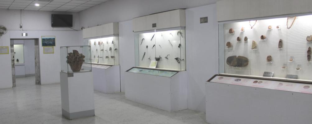 Museums of Archaeological Survey of India Gallery No.