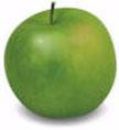 For example, if you have never eaten an apple before, and you encounter a green apple growing on an apple tree, you might be tempted to sample it.