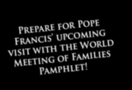 P1669 Spanish Prepare for Pope Francis upcoming visit with the World Meeting of Families Pamphlet!