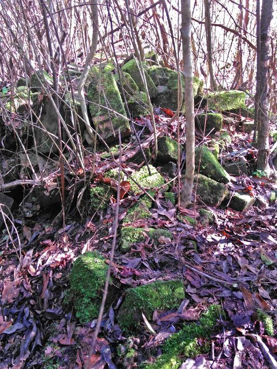 What you see here are many, many bricks covered with moss. Trees and briars are growing everywhere.