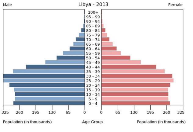 Demographics and Immigration In general, the MENA has fast growing, very young populations.