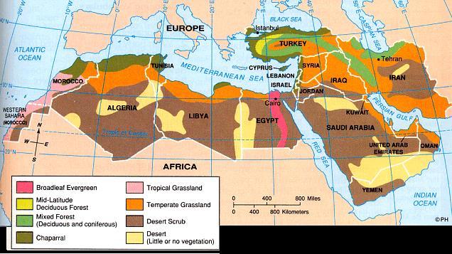 Why is there a different vegetation zone through central Egypt?