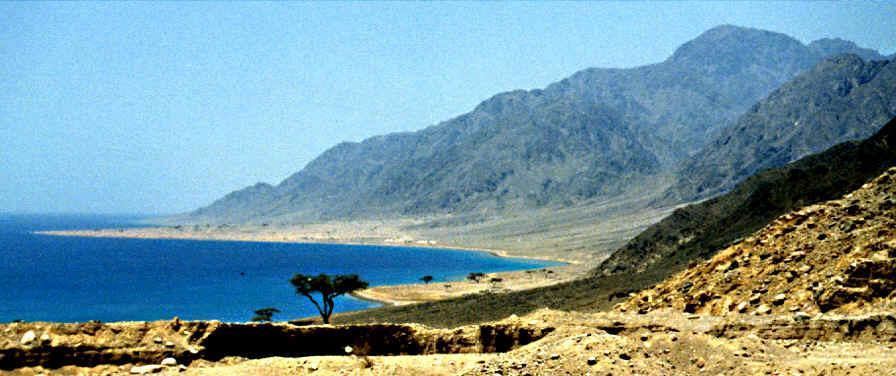 Nuweiba Beach Above - In the foreground are the remains of an