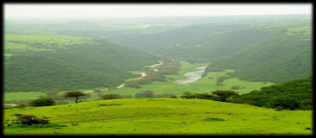 3. Salalah Salaah, the administrative capital of the Dhofar Governorate is a stunning and almost a green city which attracts visitors towards it because of its wonderful weather.