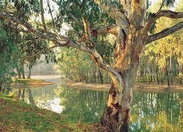 You just mentioned the billabongs. What are they? It is an Aboriginal term. It refers to the waterholes, the ponds or any place where water lies undisturbed. a billabong What about man?