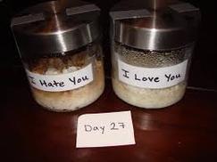 Masaru Emoto. His work clearly showed how written and spoken words applied to glass jars of rice in water altered the molecular structure of the water?