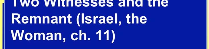 11 Two Witnesses and the