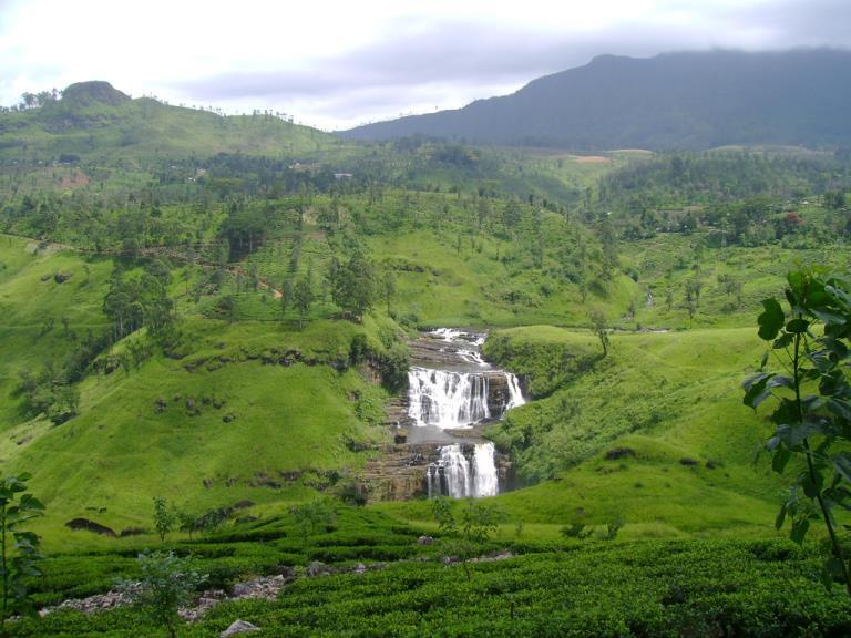 Day 05 Kandy Nuwara Eliya (B, L, D) Enjoy breakfast in the comfort of your hotel, check-out and drive to Kandy Station (20km / 01hr), depart Kandy Station 0847hrs arrive Nanuoya Station 1230hrs,