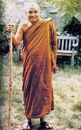 DHARMA IN THE MOMENT ajahn CHAH-isms:: Why are we born? We are born so that we will not have to be born again. Proper effort is not the effort to make something happen.