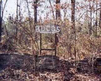 Boggs Cemetery Clay, Arkansas Photo by Leroy Blair This Cemetery is also known as: None known.