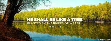 In Psalm One we read, Blessed is the man Who walks not in the counsel of the ungodly, Nor stands in the path of sinners, Nor sits in the seat of the scornful; But his delight is in the law of the
