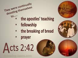 In the book of Acts we see that the diligent study of God s Word was a key factor in helping to see the rapid growth of the early church And they continued steadfastly in the apostles doctrine and