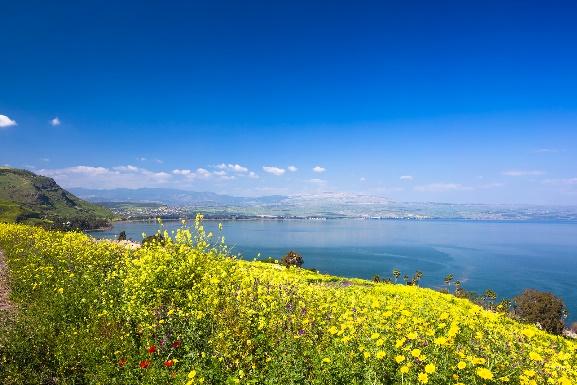We travel to the northern shores of the Sea of Galilee and visit Capernaum, where Jesus taught and healed. We see the ruins of several synagogues and the octagonal Church of St. Peter.
