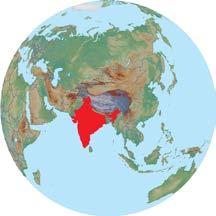 Along the northern edge of India are the countries of Pakistan, China, Nepal, and Bhutan. To the east are Bangladesh and Myanmar, or Burma.