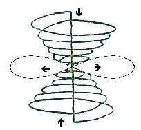 electrical charge, within a spherical field. This is called the Torusian Electronic Being. This field is the dominant organising principle of all matter present within its field.