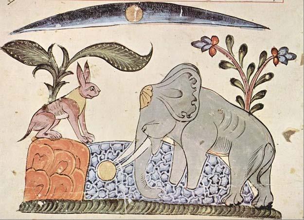 Elephant and the Rabbit