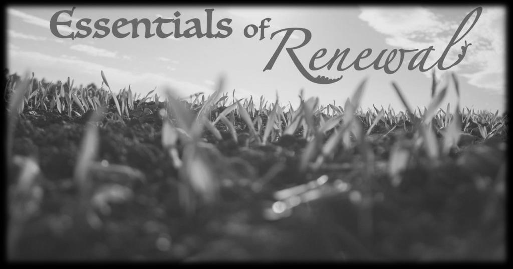 4 Essentials of Renewal - Vision John 21:1-4 Church Office Hours: Monday-Friday, 8:30a. 2:30p. *The Church office will be closed from 9-10a. Mondays for staff meeting.