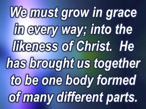 We must grow in grace in every way; into the likeness of Christ.