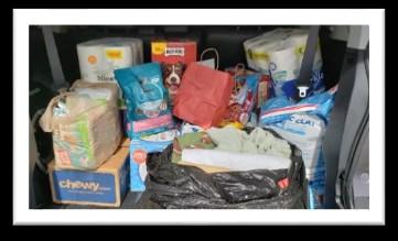 supplies and cash donations for Pet Alliance of Greater Orlando.