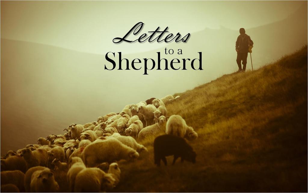 1Timothy 1:1-7 We are starting a new sermon series this morning through 1 and 2 Timothy and I have titled the series, Letters to a Shepherd.