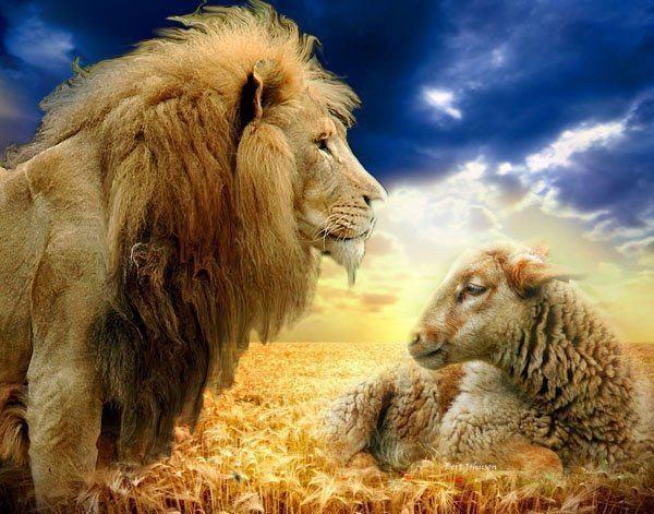 More on the Messianic Age to Come Isaiah 11:6-9 6 Then the wolf shall be a guest of the lamb, and the leopard shall lie down with the young goat; The calf and the young lion shall browse together,