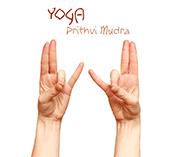 If this Mudra is done for 1 hour daily it can benefit in hardness of hearing C. The bones become strong and is beneficial in heart disease D.