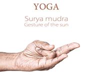 8. Surya Mudra or Mudra of the Sun This Mudra is performed by touching the tip of the ring finger to the base of the thumb and exerting pressure on the finger with the thumb. A.