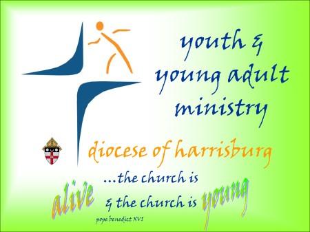 Many Catholics in our diocese do not even know that there is such a council. Every parish and Catholic high school in the diocese can select two youth to represent it on the council.