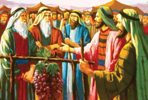 When they arrived, everyone gathered around to hear their report to Moses.