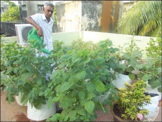Soorya Narayana said that he distributes the produce among friends and relatives. He said that he has installed a water purifier for ground water and also recycles used water in his residence.