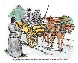 9- WHEN A COLT BOWED ITS HEAD One day Elder and Mrs. White were riding in a wagon. A minister named Elder Bates was with them. Elder White was driving.