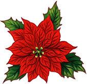 -Kari Remember to Honor your Loved Ones With Christmas Poinsettias The plants will adorn the sanctuary for worship on Sunday, December 18 th through Christmas. The cost is $12.50 per plant.