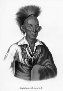 Black Hawk 67 Portrait of Black Hawk by Charles Bird King (1837), from The McKenney-Hall Portrait Gallery of American Indians, by James D. Horan (1972).