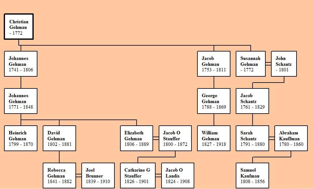 Chart No. 1. Gehman family connections. William Gehman was a relative of the deceased minister Johannes Gehman.