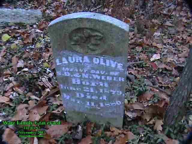 Laura Olive Weber Beloved dau. of S. D. & N.